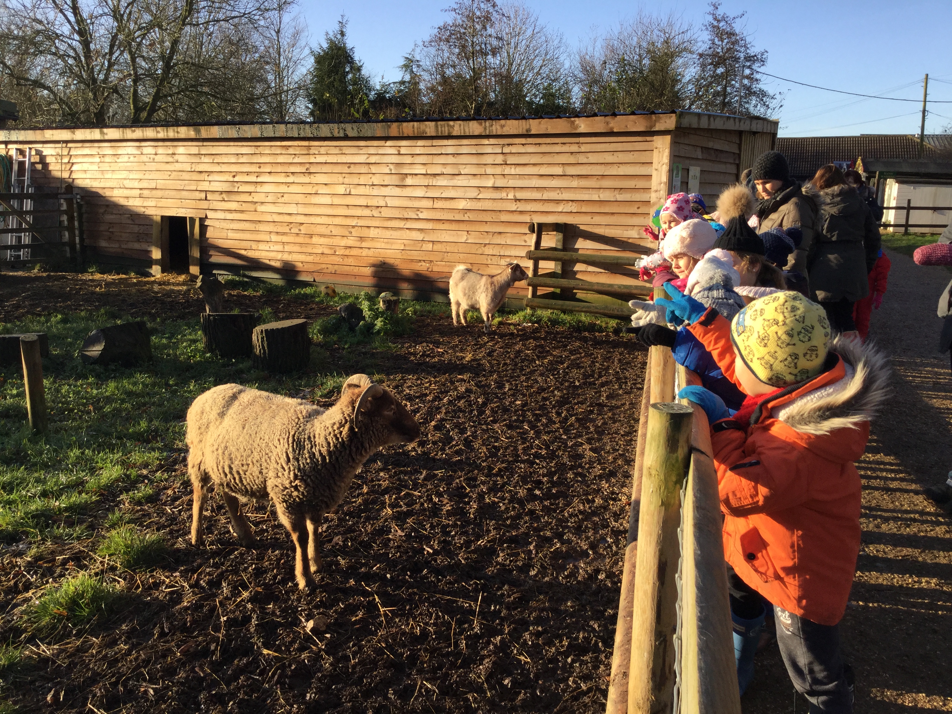 Christmas at West Lodge Farm